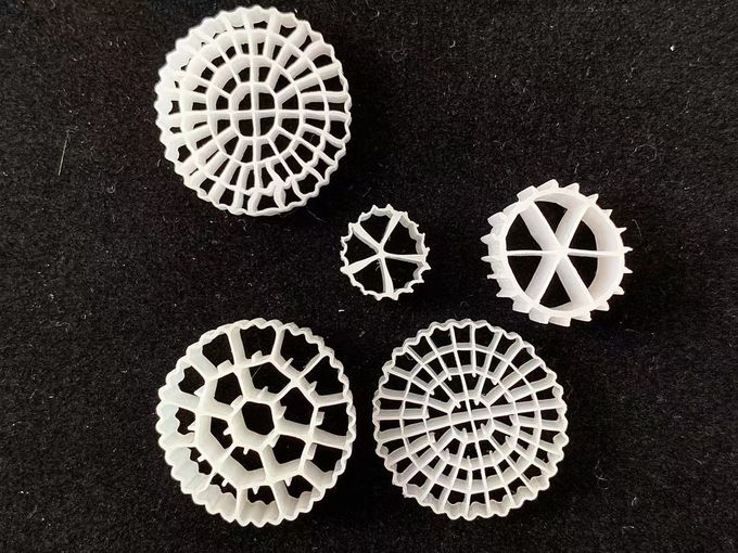 trattamento delle acque reflue di corpo filtrante dell'acquario di 25X12mm bio- 0