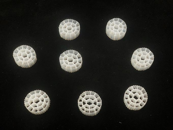 Sistema integrato di acquacoltura e coltura idroponica bianco di corpo filtrante di Mbbr Y2 11X7mm Biocell 1